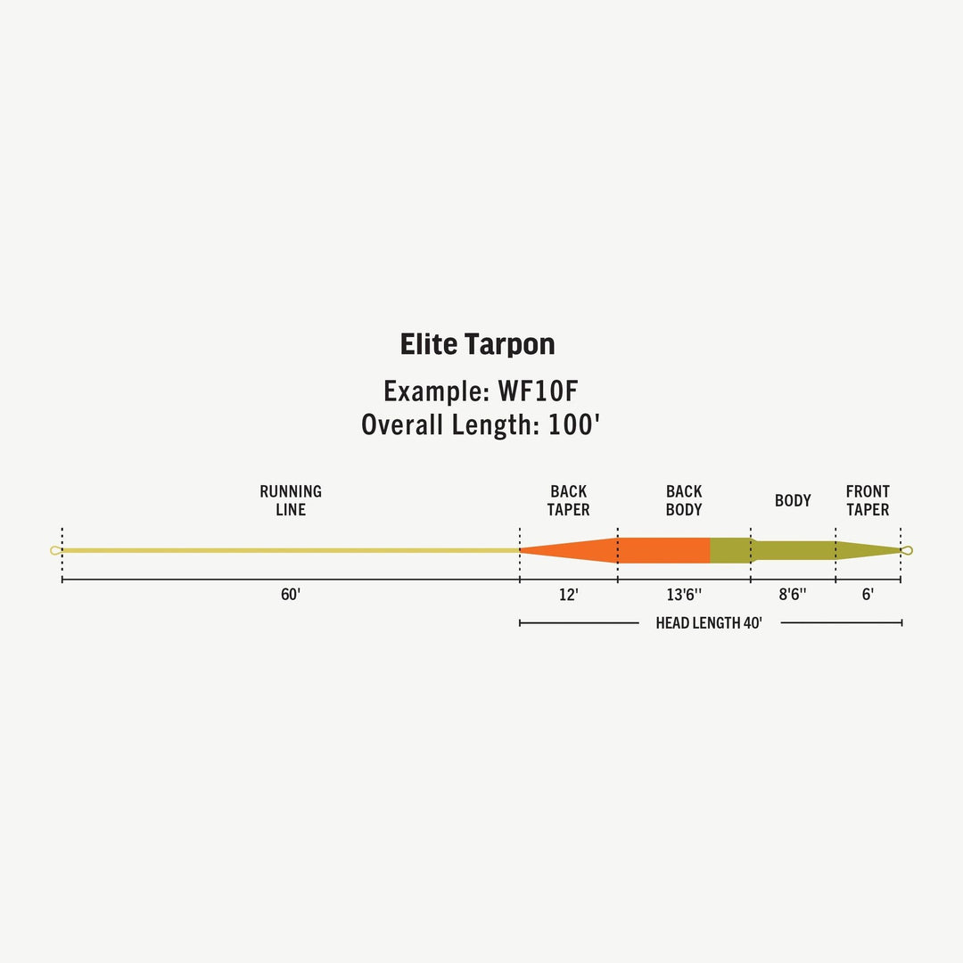 RIO Elite Tarpon Taper