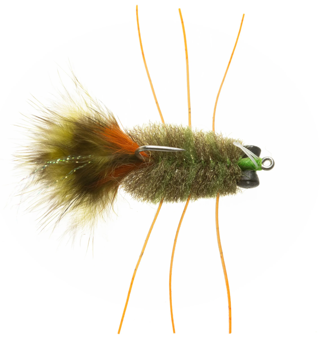 EP Permit Crab - Olive