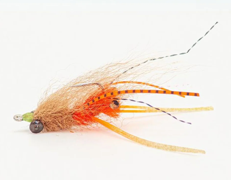 FS Squimpish Shrimp L/Y #6