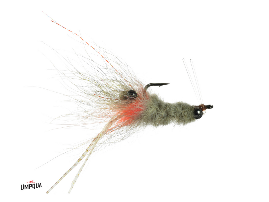 UMPQUA COYOTE SPAWNING SHRIMP - TAN/ ORG #6