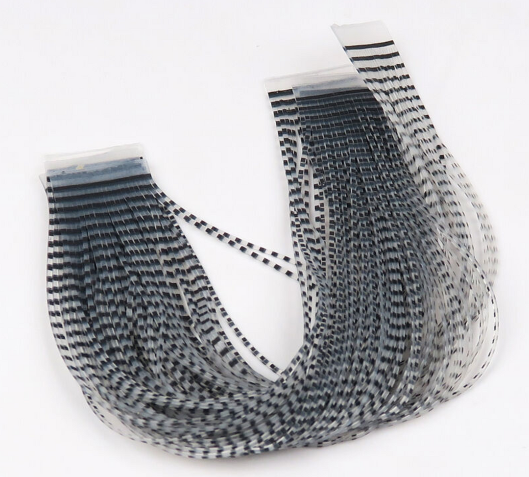 Chicone's Regular Crusher Legs #9 Black Barred Clear