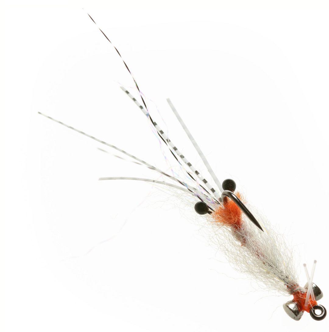 Enrico Puglisi Spawning Shrimp - Transparent