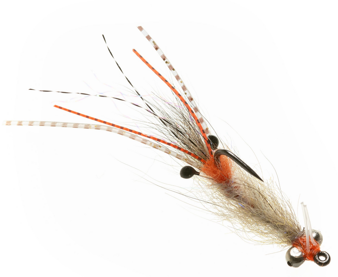 Enrico Puglisi Spawning Shrimp - Coyote