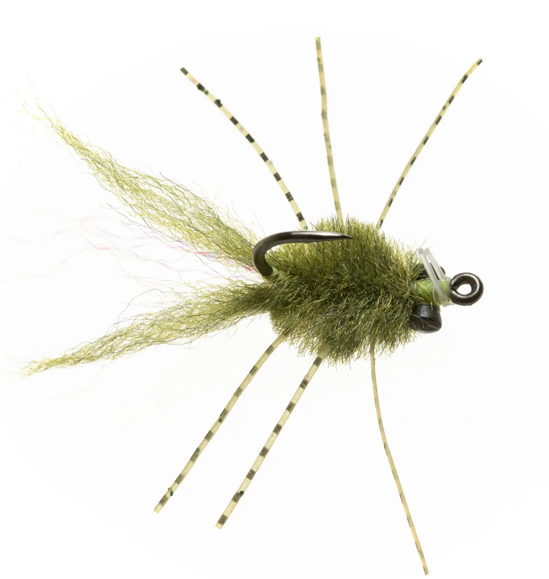 EP Micro Crab - Olive #8