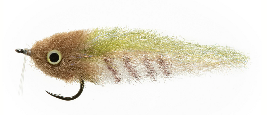 Enrico Puglisi - Everglades Special