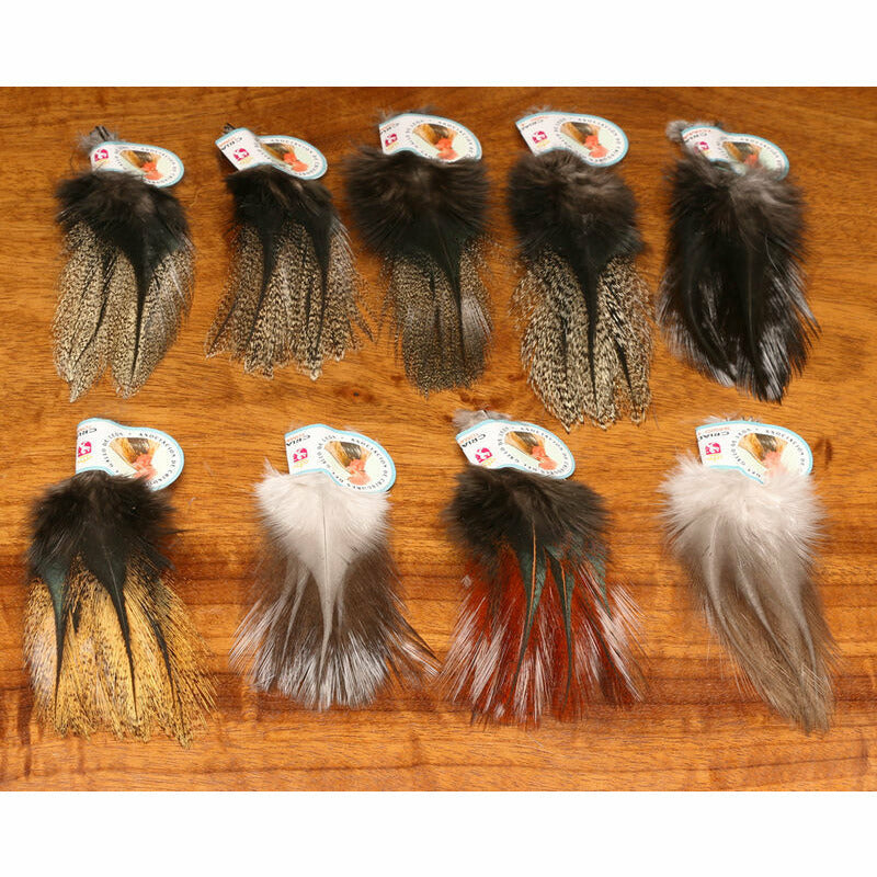 Coq De Leon Feathers