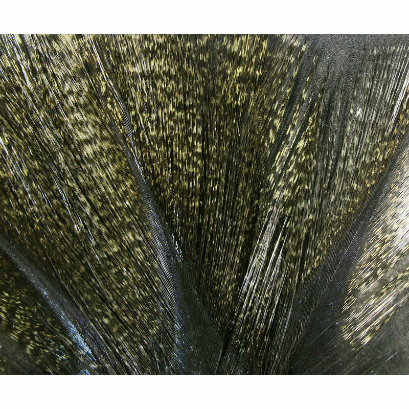 Coq De Leon Feathers