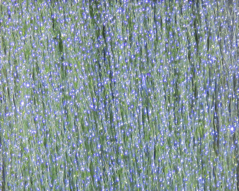 Krystal Flash - Herring Black