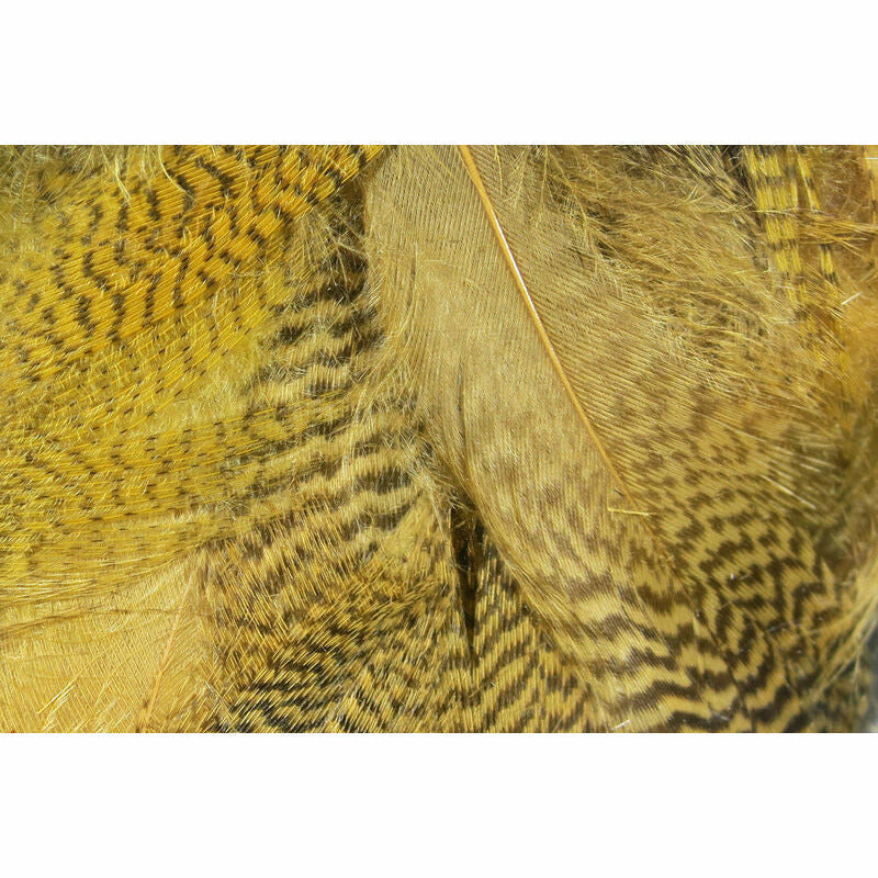 Mallard Flank Feathers