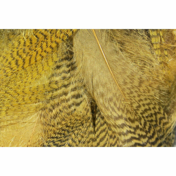 Mallard Flank Feathers