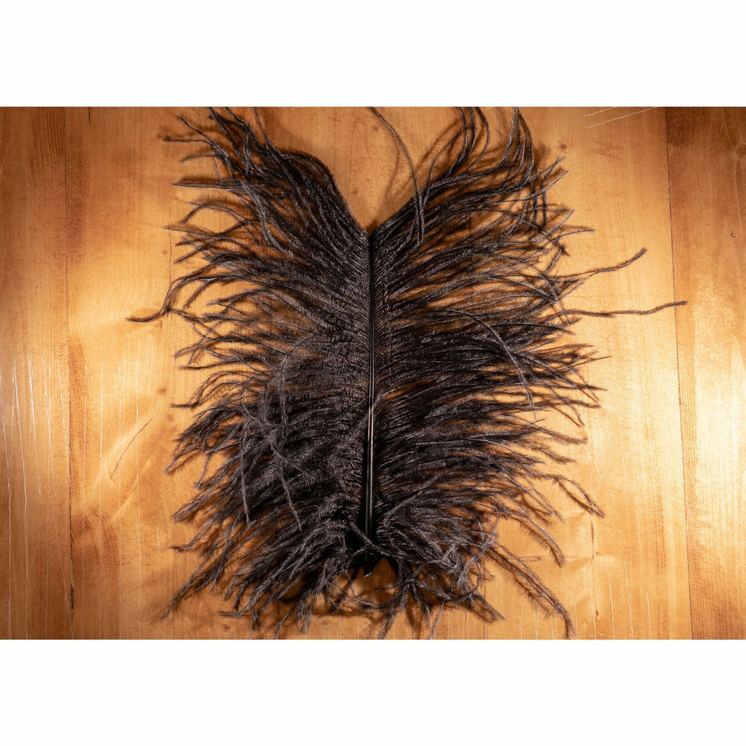 Ostrich Plume - All Colors