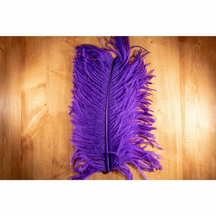 Ostrich Plume - All Colors