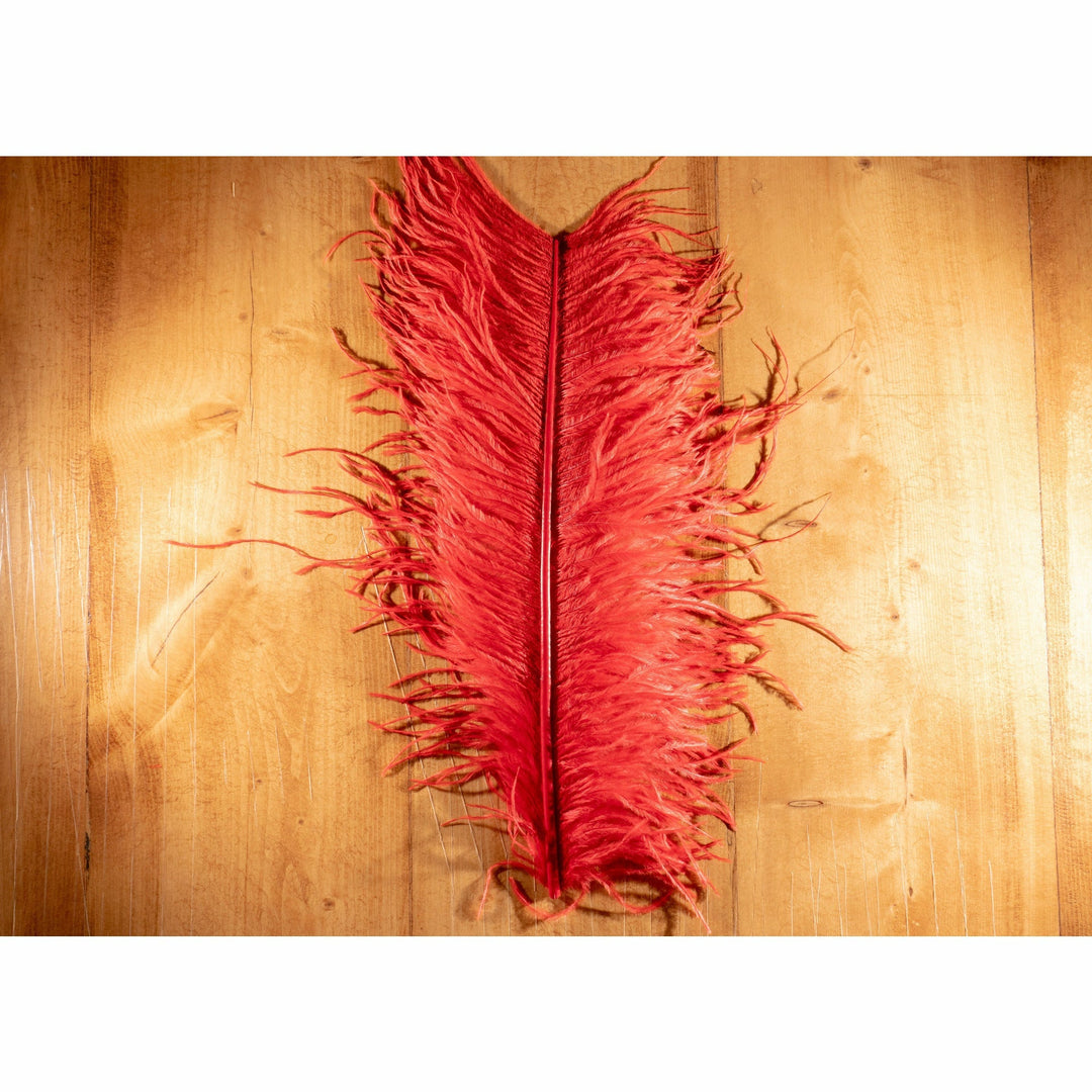 Ostrich Plume - All Colors