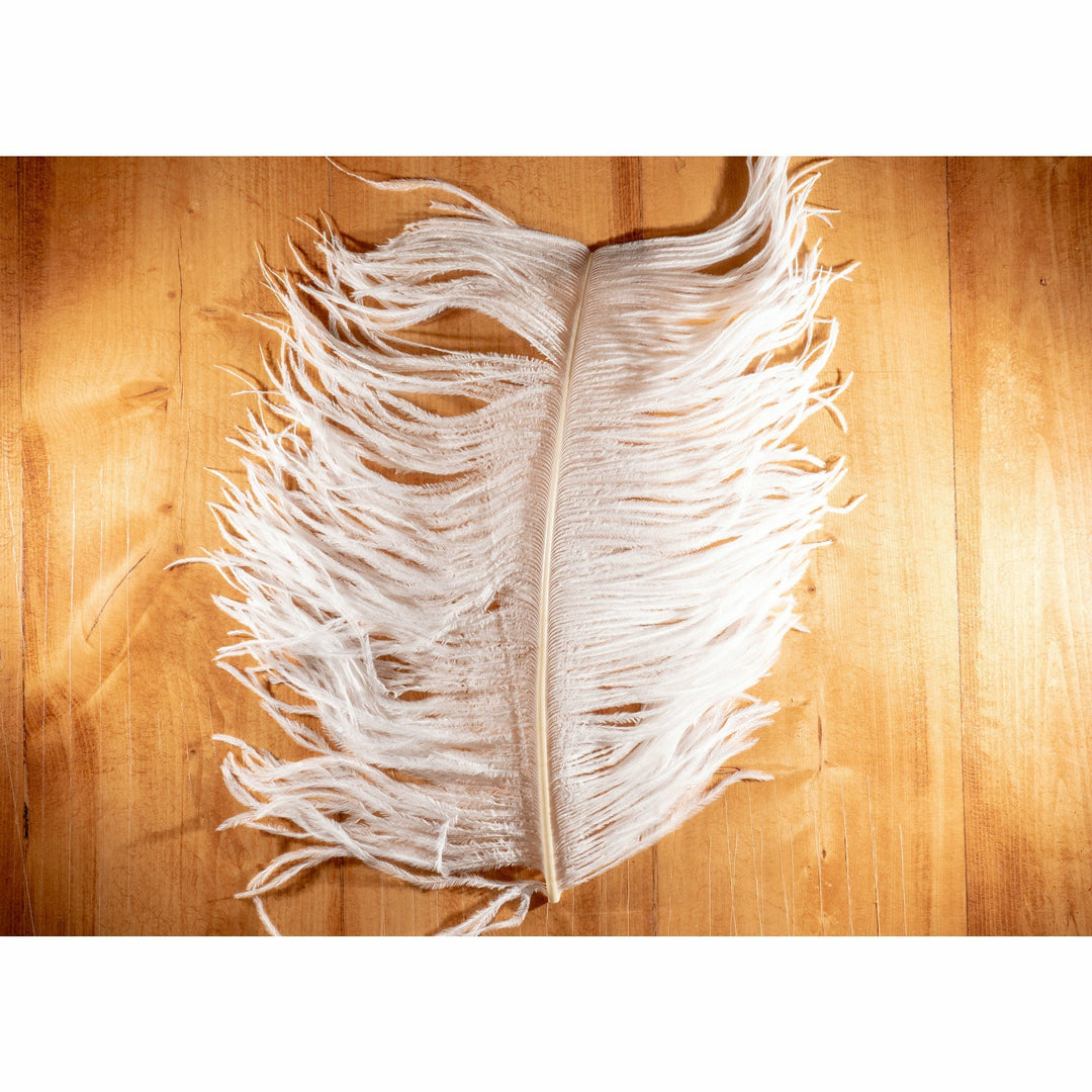 Ostrich Plume - All Colors