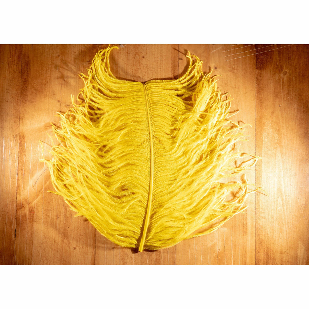 Ostrich Plume - All Colors