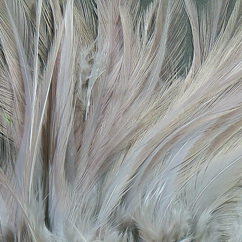 Strung Saddle Hackle  - All Colors