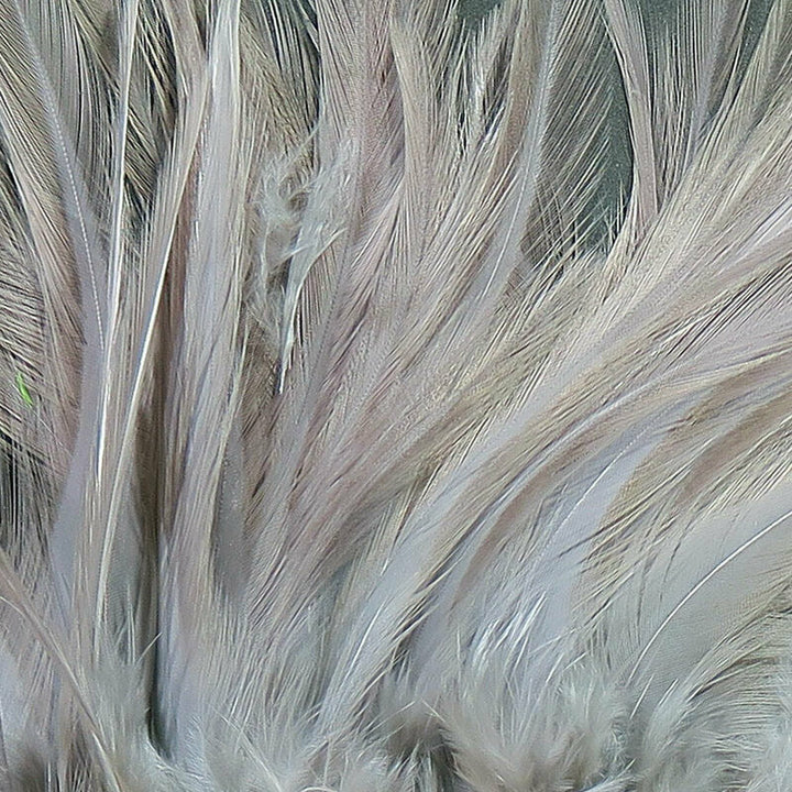 Strung Saddle Hackle  - All Colors