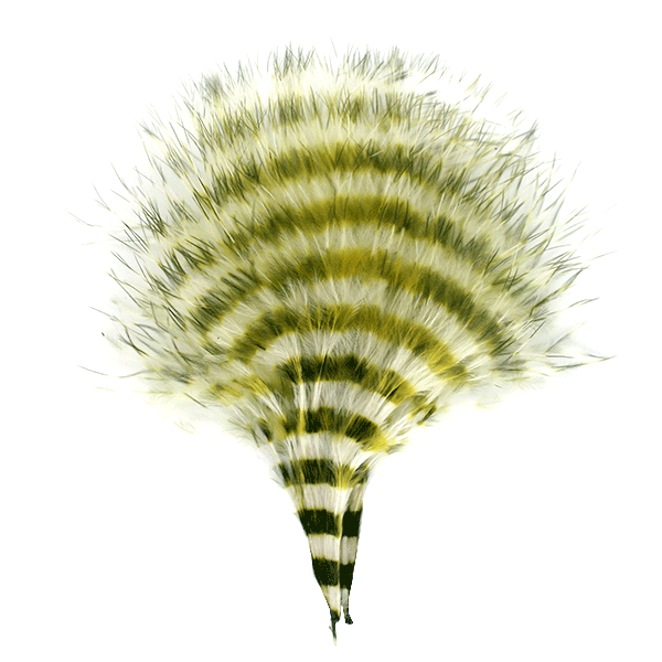 MFC Barred Marabou