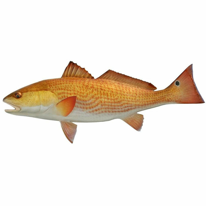 Redfish Mount