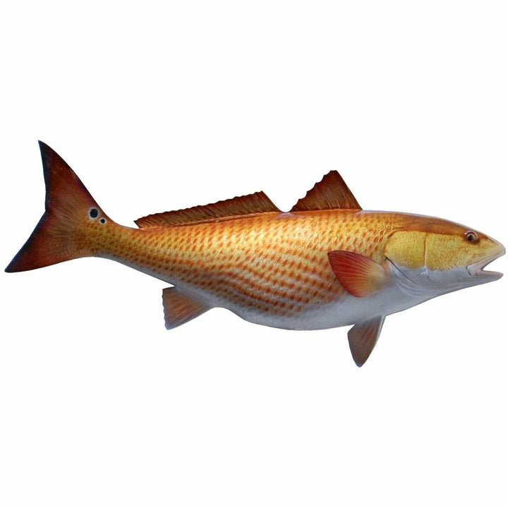 Redfish Mount