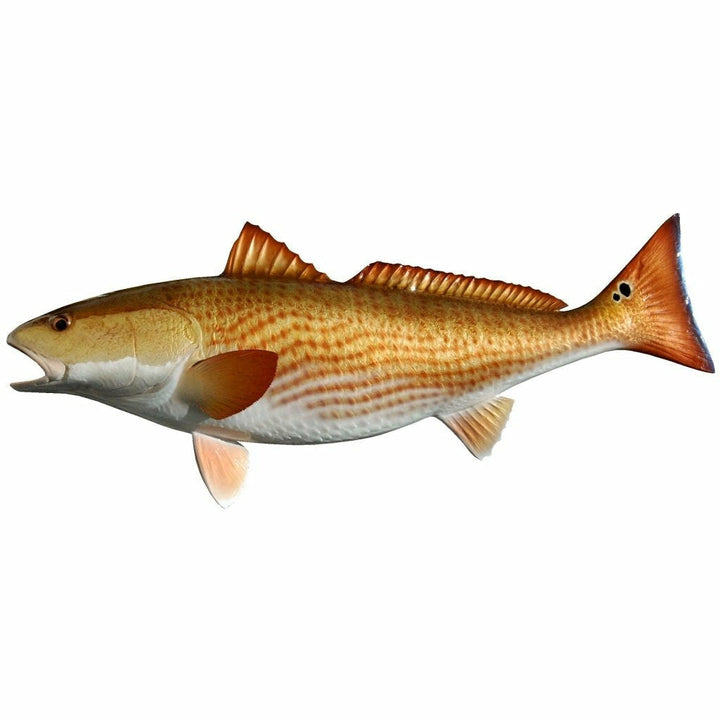 Redfish Mount