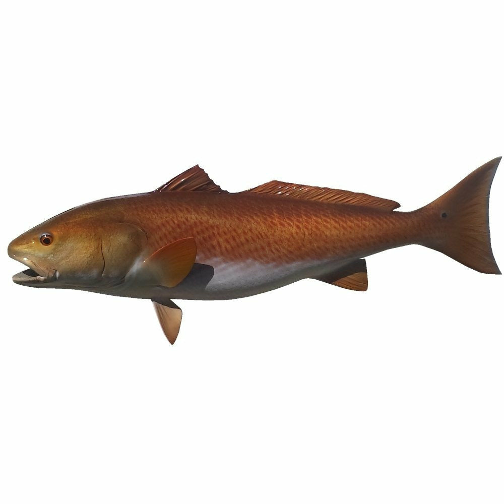 Redfish Mount