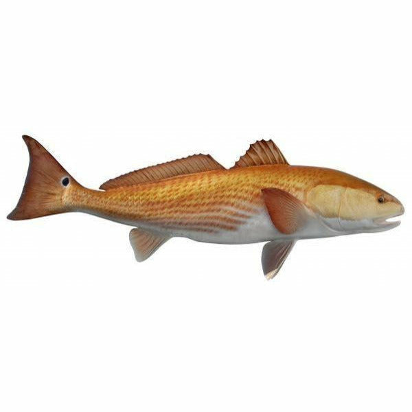 Redfish Mount