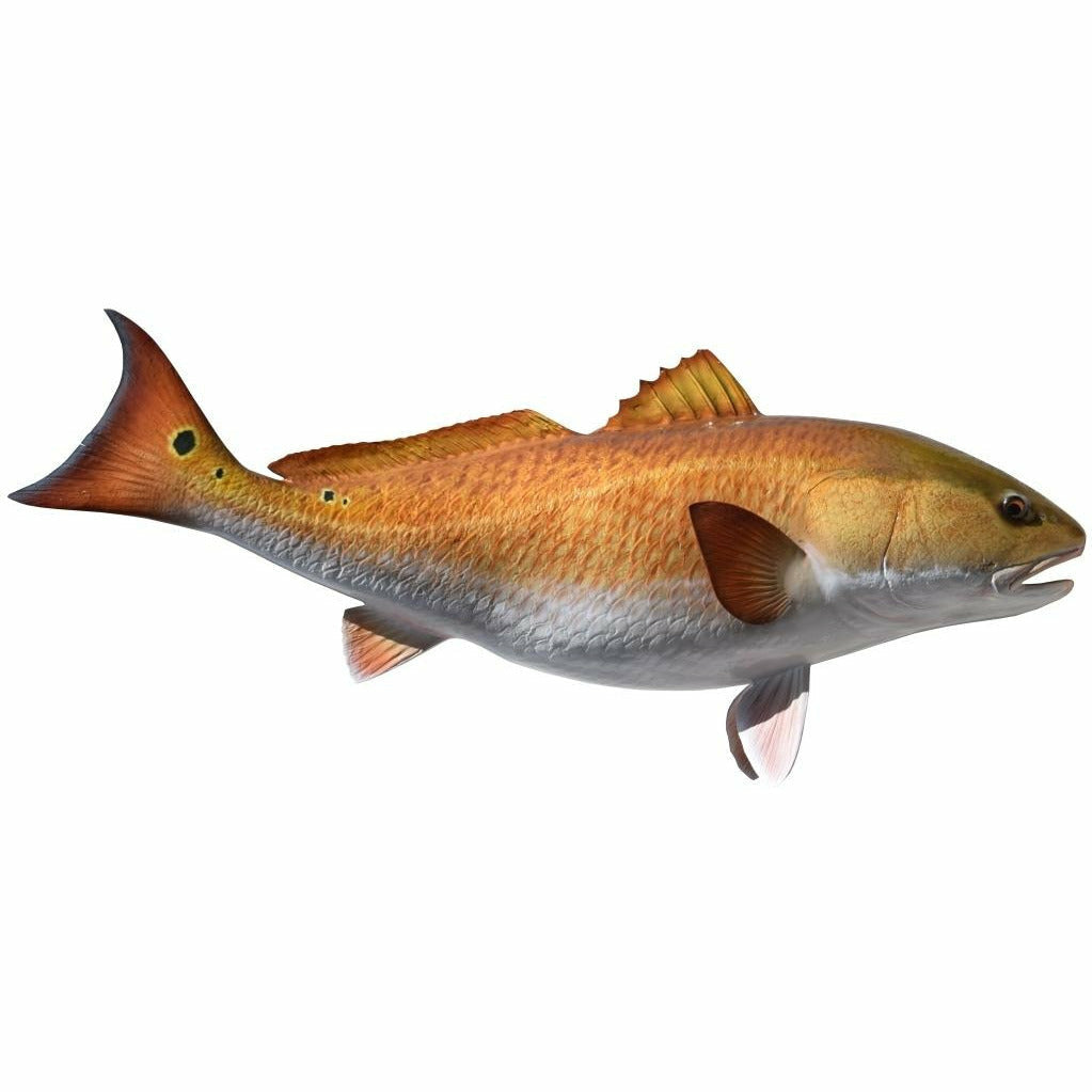 Redfish Mount