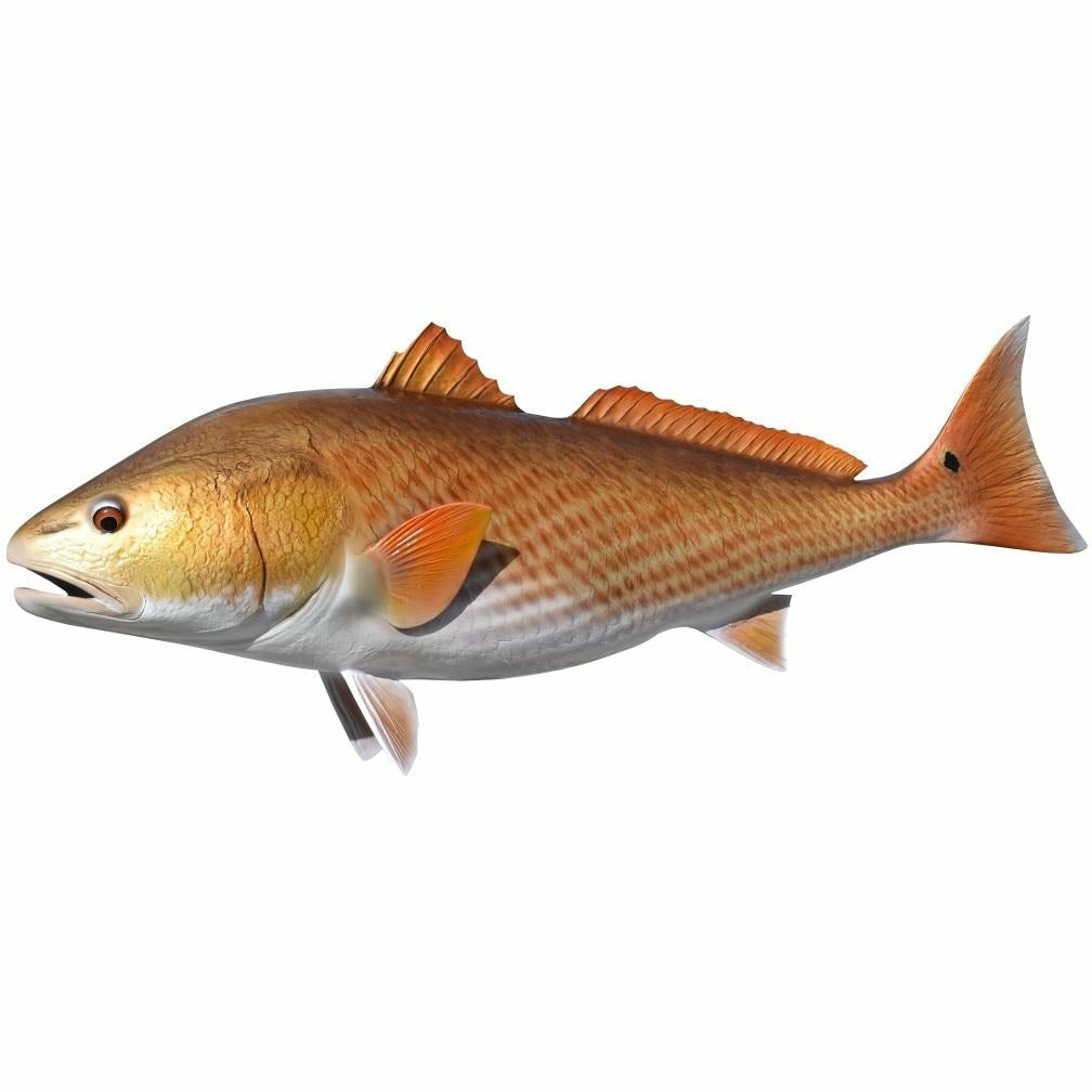 Redfish Mount