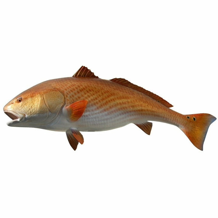 Redfish Mount