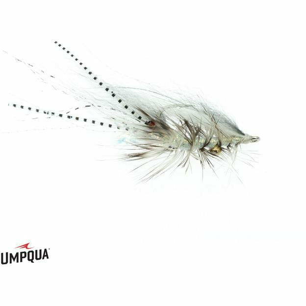 Umpqua Chewy's Halo Shrimp