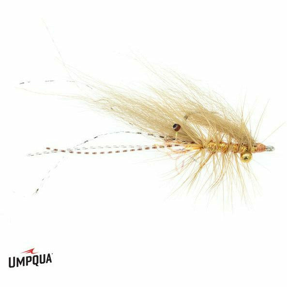 Umpqua Chewy's Halo Shrimp