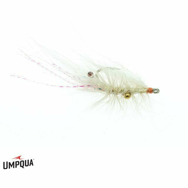 Umpqua Chewy's Halo Shrimp