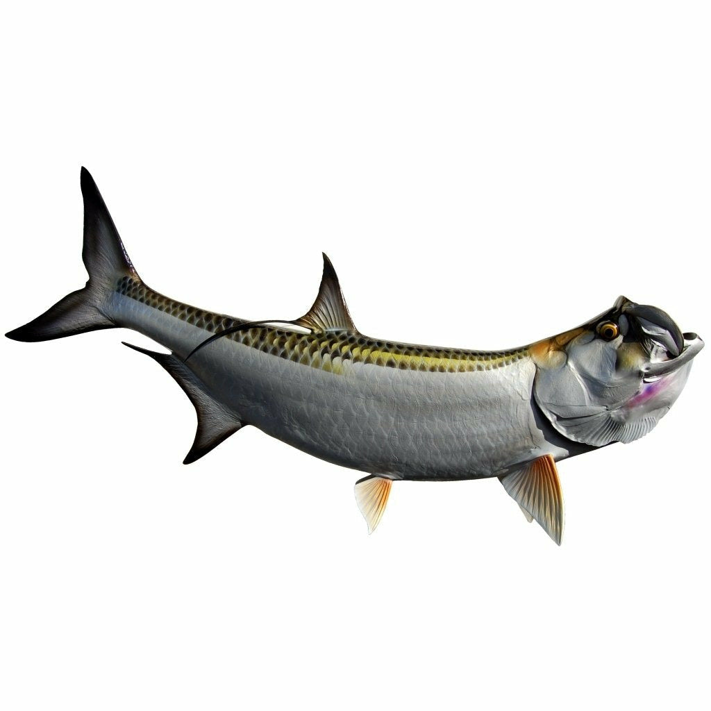 King sailfish Tarpon Mount