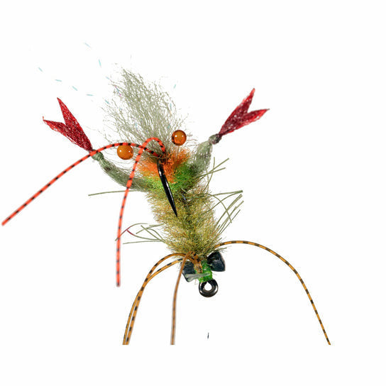 Enrico Puglisi Scampi - Grass