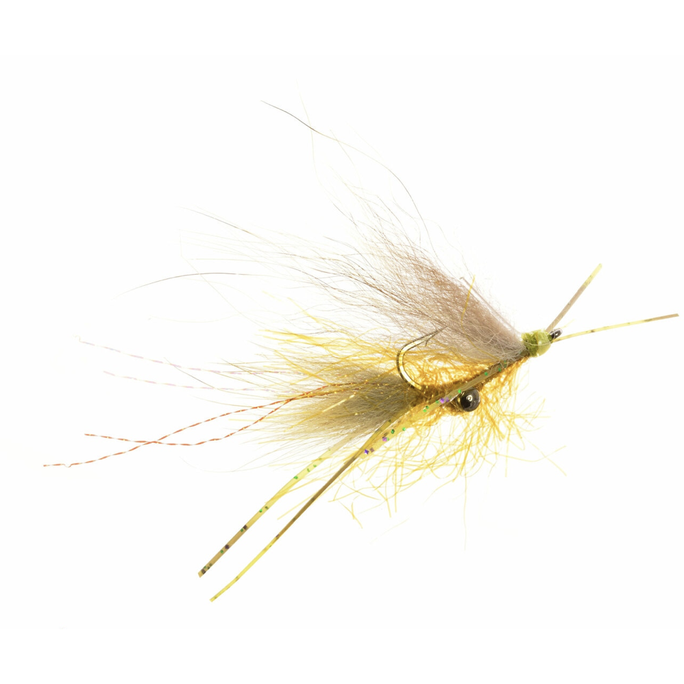 Umpqua Chicone's Cocaine Coyote - Olive