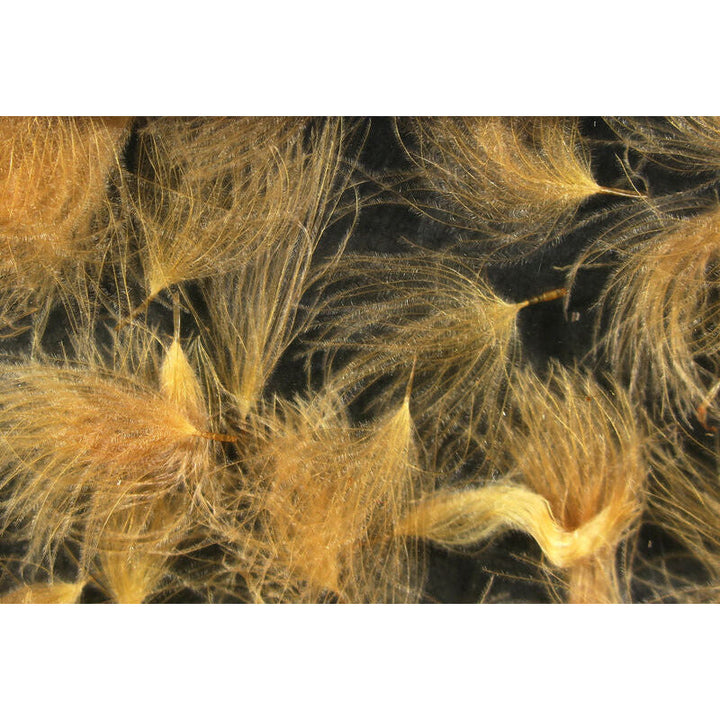 Cul De Canard Puff Feathers - All Colors